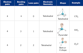 Ch103 - Chapter 8: The Major Macromolecules - Chemistry