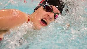 Gannett names region's fall all-area athletes