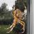 Orange Orb Weaver