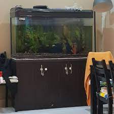 5 foot aquarium for sale. 3 Feet Aquarium With Cabinet Shopee Malaysia