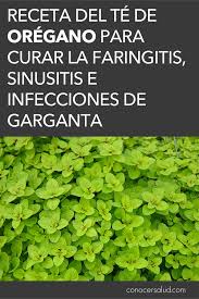 Receta Del Te De Oregano Para Curar La Faringitis Sinusitis E Infecciones De Garganta Natural Medicine Natural Health Herbs