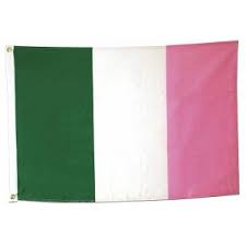 Image result for newfoundland flag