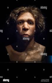 Neanderthal Man High Resolution Stock Photography and Images - Alamy