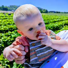 Road Trip to McConnellsville and Marietta, Ohio