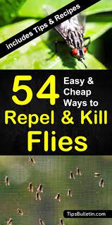 These can be obtained from most hardware stores, and come as standard in some parts of the country. How To Keep Flies Away 54 Easy And Cheap Ways To Repel And Kill Flies