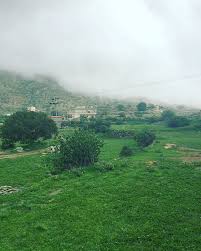 عشاق بني مالك الحجاز صوره جميلة لاحد الاودية في قرية عويا بني عاصم في بني مالك الحجاز جنوب الطائف الطايف وافانا بالصورة مشكورا الأخ علي العاصمي وفقه الله لبعث صوركم عن