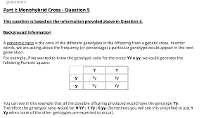 All possible genotypes for the haploid female gametes are listed. How To Make Genotype And Phenotype Ratios