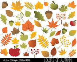 Autumn Leaf Clipart Fall Leaves Clip Art Thanksgiving Branches Berries Acorn Colorful Commercial Personal Buy 2 Get 1 Free In 2020 Leaf Clipart Clip Art Digital Clip Art Set