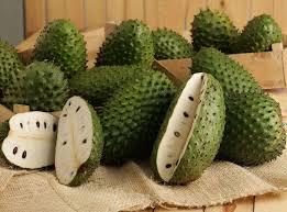 Graviola is a fruit tree which grows in central and south america and its fruit, leaves, and bark have all been used traditionally to treat a range of health disorders from rickets to diabetes. Health Benefits Of Sasalapa Aka Soursop Or Graviola Thecoconet Tv The World S Largest Hub Of Pacific Island Content