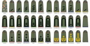 Wenn die abgeschlossene ausbildung in der bundeswehr verwendung finden kann, dann kannst du auch ich möchte zum bund gehen und wollte fragen mit welchem rang ich einsteige. Ml4obtbbhk Dvm