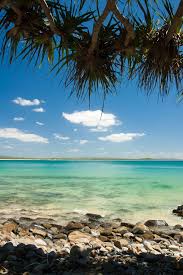 Picturesque Noosa Beach Queensland Repinned By Www Smg Treppen De Smgtreppen With Images Australia Beach Noosa Australia Beautiful Beaches