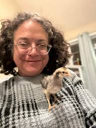 Serama chickens indoor housing ideas needed