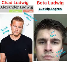 Not a short joke : r/LudwigAhgren