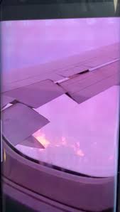 Image result for Delta 209