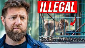 Bodybuilder VS JAGERMACE Experiment *MOST DANGEROUS ITEM I'VE TESTED*