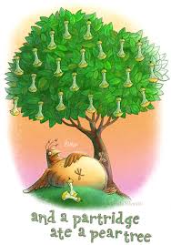 In the song, a partridge in a pear tree literally refers to a bird in a pear tree. Partridge In A Pear Tree Sketched Out