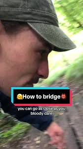 Understanding the Importance of Shrub Layers in Nature Walks