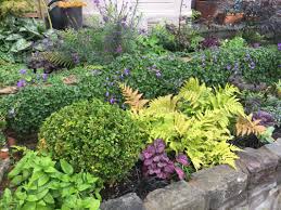 Planting A Shady North Facing Garden Hawkmoth Garden Design