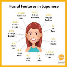Japanese Vocabulary Japanese Language Learning Japanese Language Lessons Basic Japanese Words