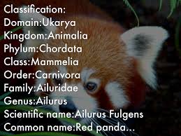 As we all know pet is the best thing to show off with your friends in free fire. Red Panda By Luket Davy