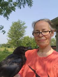 Rescued a crow from the ground