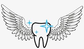 Angel wings art angel wings painting angel art heart wings stolz tattoo art fractal wings wallpaper amoled wallpapers wings drawing. Remember The First Time You Lost A Tooth There Aren T Angel Wing Coloring Page Transparent Png 1028x573 Free Download On Nicepng