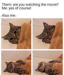 Frequency 5 posts / week indianmemetemplates.com Cat Falling Asleep Meme Template