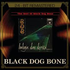 Jika hasilnya tidak berisi lagu yang anda cari, cobalah mencari lagu dengan nama artis atau dengan nama lagu tersebut. Black Dog Bone S Stream