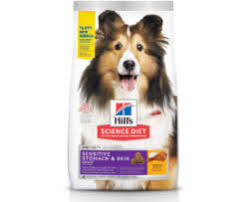How to lower a dog's blood sugar. Best Diabetic Dog Food Review In 2021 Doggear