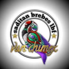  Cara Membuat Logo Di Android Tutorial Cara Membuat Logo Burung Lovebird Di Andr Burung Animasi Bintang