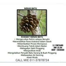 Buah mulberry episod 26 01 khasiat buah mulberry yang baik untuk kecantikkan dan kesihatan. Buah Nenas Batu Rm 10 Shopee Malaysia