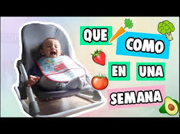 Menu Semanal Bebe 9 Meses Que Come Mi Bebe En Un Dia Recetas Para Bebes Youtube