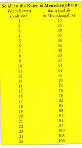 Grundsätzlich haben katzen bei uns eine lebenserwartung von 8 bis 19 jahren, wobei sich der durchschnitt ich persönlich finde diese tabelle super spannend. Katzenjahre Menschenjahre Deutschlandsberg