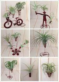 15 Best Hanging Air Plant Holder Ideas Designs For 2021 Air Plants Decor Hanging Air Plants Hanging Plants