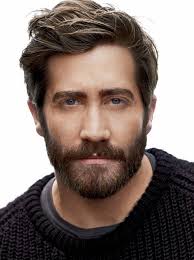 Top 10 Most Popular Beard Styles Hone