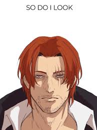 One Piece Chapter 1137 Spoilers and Insights