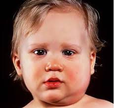 Drug Development MCQs Flashcards