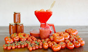 We did not find results for: Come Fare La Passata Di Pomodoro Tutto Quello Da Sapere
