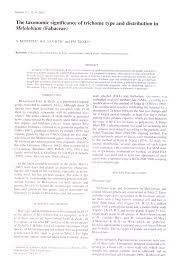 Image result for Dichilus reflexus