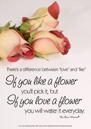 There Is A Difference Between Love And Like Love Quotes For Him Romantic Picture Quotes Sweet Love Quotes