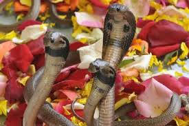Happy nag panchami wishes 2021. Usiqfm Zdhgkpm