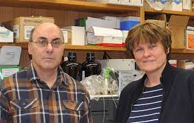 Karikó katalin hatalmas tapsvihar közepette vehette át a harmadik legnagyobb város díszpolgári címét. Katalin Kariko The Hungarian Biochemist Behind The Covid Vaccines Kafkadesk