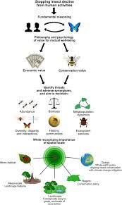 Most historians of modern population control trace its roots back to the reverend thomas malthus, an english clergyman born in the 18th century who believed that humans would always reproduce faster than earth's capacity to feed them. Solutions For Humanity On How To Conserve Insects Sciencedirect