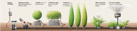 Arrosage goutte à goutte : Arrosage Goutte A Goutte