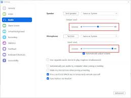 How To Lower Zoom Volume Only On Mac Or Windows: 3 Ways