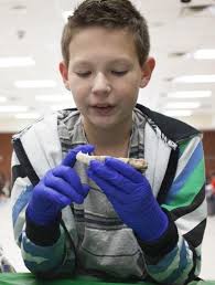 Fair at Kyrene Monte Vista gives students hands-on exercises