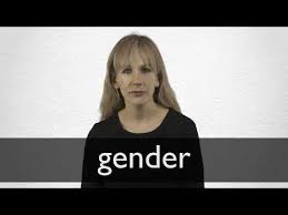 Gender Definition And Meaning Collins English Dictionary