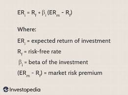 What Is CAPM Formula in Excel? Using CAPM to Analyze Risk Reward