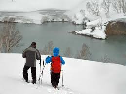 Image result for Hakkoda Walk