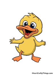 How To Draw A Cartoon Duck Step By Step!